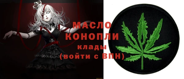 сатива Новодвинск