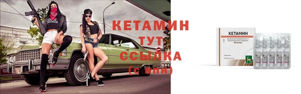 сатива Новодвинск