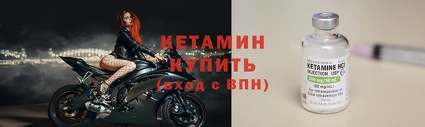 сатива Новодвинск